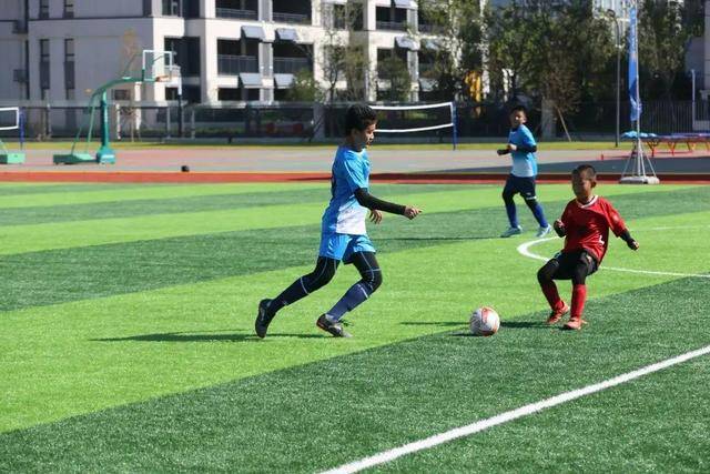 杜锋:一场好一场差 不知道队员每场状态会去哪