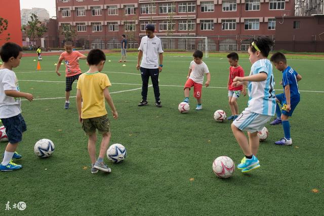 杨鸣愤怒冲进场内大骂裁判 连吃两T被驱逐出场